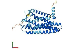 AlphaFold protein structure predicition of Human Recombinant OR2T10 Protein, UniprotID Q8NGZ9 (OR2T10 Protein (AA 1-312) (His tag))