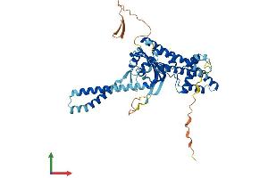 AlphaFold protein structure predicition of Human Recombinant TMEM143 Protein, UniprotID Q96AN5 (TMEM143 Protein (AA 1-459) (His tag))
