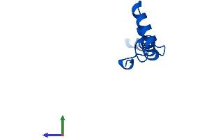 Protein Structure (PS) image for NADH Dehydrogenase (Ubiquinone) 1 alpha Subcomplex, 1, 7.5kDa (NDUFA1) (AA 1-70) protein (Fc Tag) (ABIN7549653)