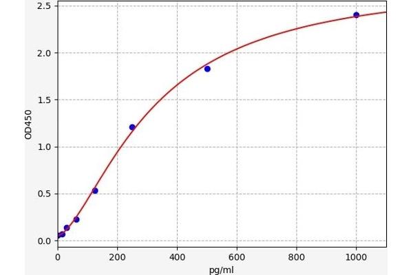 Attractin ELISA Kit