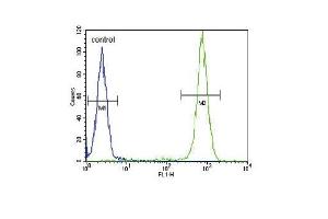 IL4 Antibody (C-term) (ABIN651434 and ABIN2840238) flow cytometric analysis of WiDr cells (right histogram) compared to a negative control cell (left histogram). (IL-4 antibody  (C-Term))