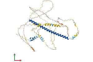 AlphaFold protein structure predicition of Human Recombinant CREB5 Protein, UniprotID Q02930