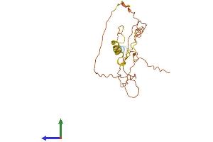 AlphaFold protein structure predicition of Human Recombinant INS-IGF2 Protein, UniprotID F8WCM5 (INS-IGF2 Protein (AA 1-200) (His tag))
