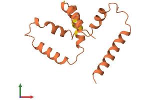 AlphaFold protein structure predicition of Human Recombinant CLLU1 Protein, UniprotID Q5K131