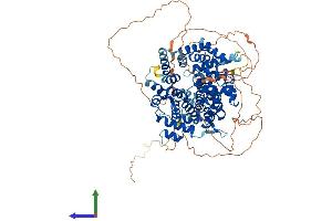 AlphaFold protein structure predicition of Human Recombinant CCNF Protein, UniprotID P41002