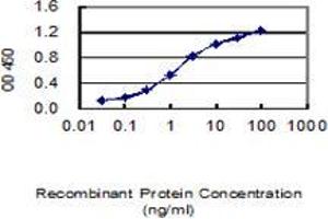 Detection limit for recombinant GST tagged CDH26 is 0. (CDH26 antibody  (AA 1-165))