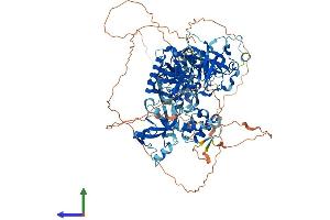AlphaFold protein structure predicition of Mouse Recombinant Sfmbt2 Protein, UniprotID Q5DTW2 (SFMBT2 Protein (AA 1-938) (His tag))