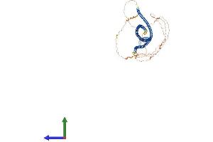 AlphaFold protein structure predicition of Human Recombinant CTAGE6 Protein, UniprotID Q86UF2 (CTAGE6 Protein (AA 1-777) (His tag))