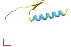 AlphaFold protein structure predicition of Human Recombinant RNF216P1 Protein, UniprotID Q6NUR6