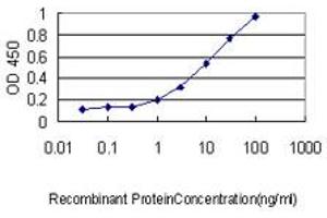 Detection limit for recombinant GST tagged RAB4A is approximately 0. (Rab4 antibody  (AA 1-218))