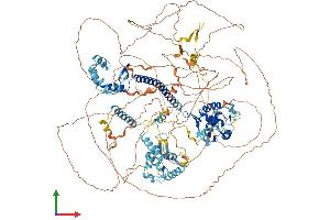Protein Structure (PS) image for Nuclear Factor Related To KappaB Binding Protein (NFRKB) (AA 1-1296) protein (His tag) (ABIN7564138)