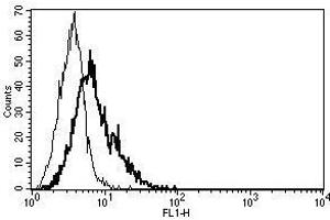 A typical staining pattern with the B-B29 monoclonal antibody of CD40L transfected 3T6 cell line (CD40 Ligand antibody)