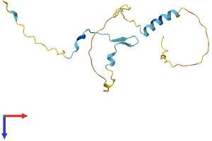 AlphaFold protein structure predicition of Mouse Recombinant Cdc42ep5 Protein, UniprotID Q9Z0X0 (CDC42EP5 Protein (AA 1-150) (His tag))