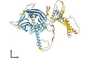 Protein Structure (PS) image for Fanconi Anemia, Complementation Group B (FANCB) (AA 1-703) protein (His tag) (ABIN7557573)