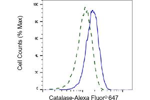 Validation of Catalase knockdown using flow cytometry. (Recombinant Catalase antibody)