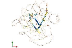 AlphaFold protein structure predicition of Human Recombinant ETAA1 Protein, UniprotID Q9NY74 (ETAA1 Protein (AA 1-926) (His tag))