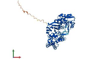 AlphaFold protein structure predicition of Mouse Recombinant Adss1 Protein, UniprotID P28650 (ADSSL1 Protein (AA 1-457) (His tag))