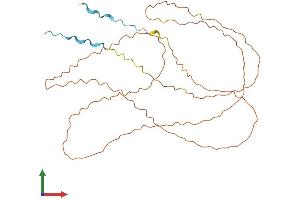 AlphaFold protein structure predicition of Human Recombinant LORICRIN Protein, UniprotID P23490 (LOR Protein (AA 1-312) (His tag))