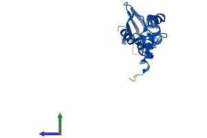 Protein Structure (PS) image for Mitochondrial Ribosomal Protein S25 (MRPS25) (AA 1-173) protein (His tag) (ABIN7551602)