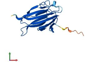 Protein Structure (PS) image for TRAF-Interacting Protein with Forkhead-Associated Domain, Family Member B (TIFAB) (AA 1-147) protein (His tag) (ABIN7559396)