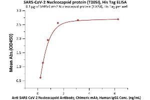 ELISA image for SARS-CoV-2 Nucleocapsid (SARS-CoV-2 N) (T205I) (Active) protein (His tag) (ABIN6992416)