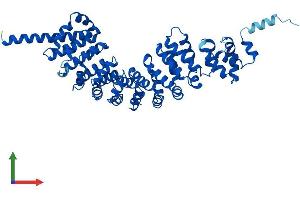 Protein Structure (PS) image for Sperm Associated Antigen 6 (SPAG6) (AA 1-507) protein (His tag) (ABIN7561676)