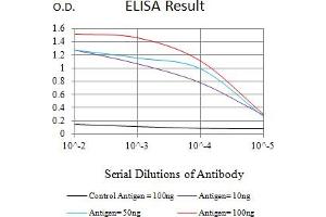 Black line: Control Antigen (100 ng),Purple line: Antigen (10 ng), Blue line: Antigen (50 ng), Red line:Antigen (100 ng) (Cytokeratin 19 antibody  (AA 80-400))