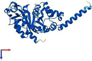 GDPD1 Protein (AA 1-314) (His tag)