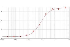 ELISA results of purified Rabbit Anti-Cyclin D3 Antibody tested against BSA-conjugated peptide of cyclin D3 peptide. (Cyclin D3 antibody  (C-Term))