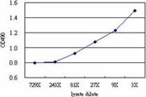 Sandwich ELISA detection sensitivity ranging from approximately 81x to 3x dilution of the PDCD6IP 293T overexpression lysate (non-denatured). (PDCD6IP (Human) Matched Antibody Pair)