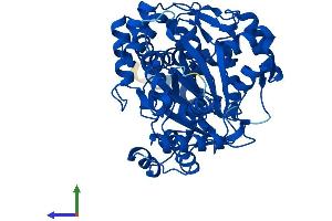 Protein Structure (PS) image for threonine Synthase-Like 2 (THNSL2) (AA 1-484) protein (His tag) (ABIN7544316)