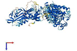 AlphaFold protein structure predicition of Human Recombinant SLFN11 Protein, UniprotID Q7Z7L1