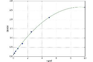 A typical standard curve