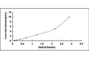 Typical standard curve (Osteoprotegerin ELISA Kit)