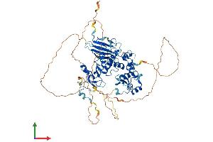 AlphaFold protein structure predicition of Human Recombinant CHFR Protein, UniprotID Q96EP1 (CHFR Protein (AA 1-664) (His tag))