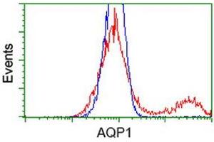 HEK293T cells transfected with either RC205304 overexpress plasmid (Red) or empty vector control plasmid (Blue) were immunostained by anti-AQP1 antibody (ABIN2454187), and then analyzed by flow cytometry. (Aquaporin 1 antibody)