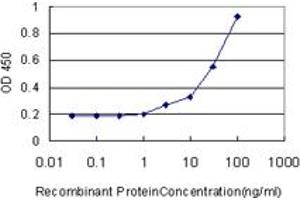 Detection limit for recombinant GST tagged DCN is approximately 1ng/ml as a capture antibody. (Decorin antibody  (AA 1-359))