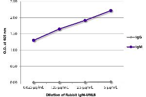 ELISA plate was coated with serially diluted Rabbit IgM-UNLB and quantified. (Rabbit IgM Isotype Control)
