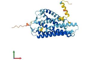 AlphaFold protein structure predicition of Human Recombinant OR2G2 Protein, UniprotID Q8NGZ5 (OR2G2 Protein (AA 1-317) (His tag))