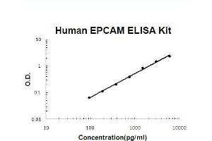 Human EPCAM PicoKine ELISA Kit standard curve