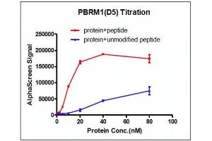 Recombinant PBRM1 (613-734) activity using AlphaScreen. (Polybromo 1 Protein (PBRM1) (AA 613-734) (His tag,DYKDDDDK Tag))