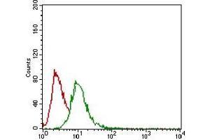 Flow cytometric analysis of Hela cells using GSC mouse mAb (green) and negative control (red). (GSC antibody  (AA 191-257))