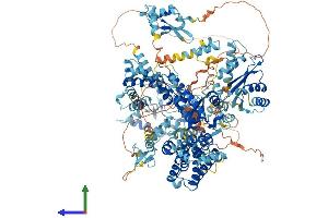 AlphaFold protein structure predicition of Human Recombinant SCAND3 Protein, UniprotID Q6R2W3 (SCAND3 Protein (AA 1-1325) (His tag))