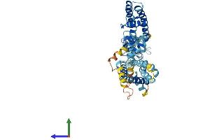 AlphaFold protein structure predicition of Human Recombinant KCNG3 Protein, UniprotID Q8TAE7