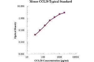 ELISA image for Chemokine (C-C Motif) Ligand 20 (CCL20) ELISA Kit (ABIN3198407)