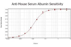 ELISA results of purified Rabbit anti-Mouse Serum Albumin Antibody tested against Mouse Serum Albumin. (Albumin antibody)