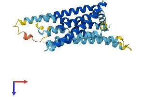 AlphaFold protein structure predicition of Human Recombinant TAS2R8 Protein, UniprotID Q9NYW2 (TAS2R8 Protein (AA 1-309) (His tag))