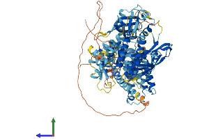 Protein Structure (PS) image for Active BCR-Related (ABR) (AA 1-859) protein (His tag) (ABIN7557531)