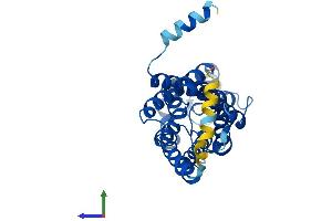 AlphaFold protein structure predicition of Mouse Recombinant Aqp3 Protein, UniprotID Q8R2N1