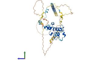 AlphaFold protein structure predicition of Mouse Recombinant Cdca7l Protein, UniprotID Q922M5 (CDCA7L Protein (AA 1-438) (His tag))